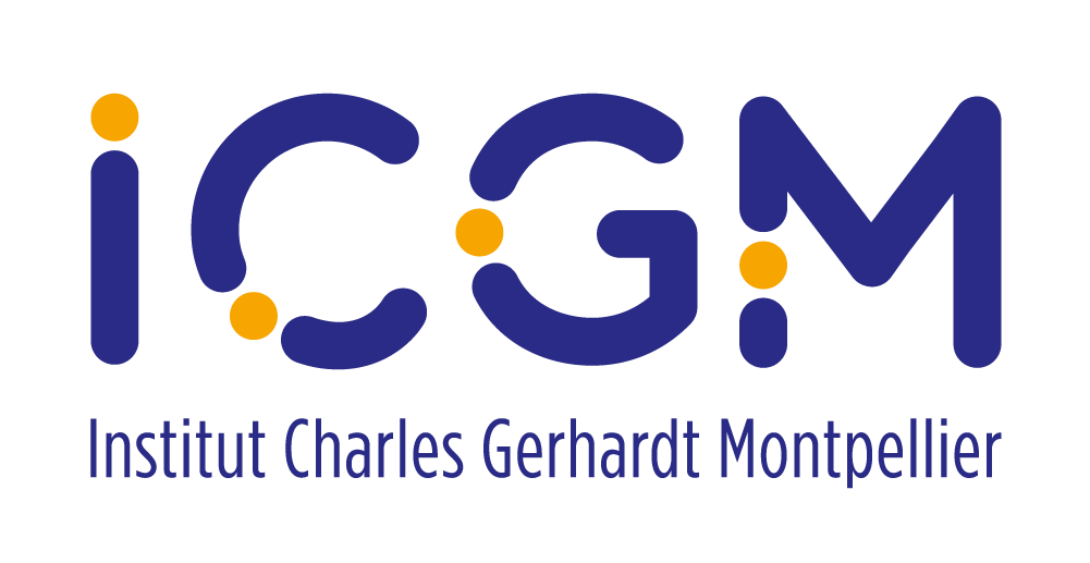 ICGM logo generique 2c5b6ed4fe452e4b0dce1f804b71647c